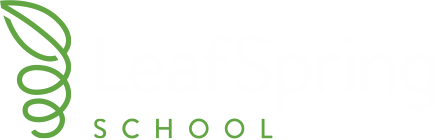 Leaf Spring